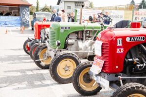 Gössendorf-27-09 (103)