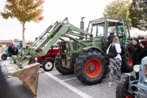 Gössendorf-27-09 (52)