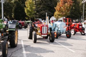 Gössendorf-27-09 (61)